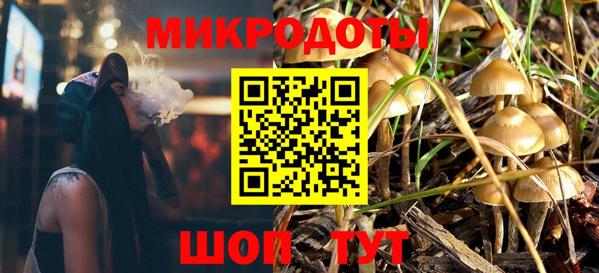 Галлюциногенные грибы мицелий Качканар