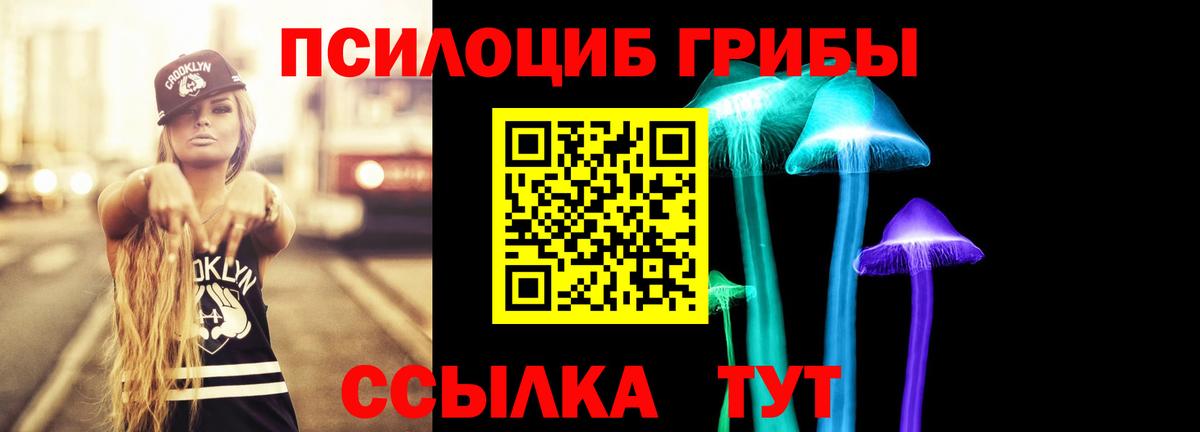 Галлюциногенные грибы Magic Shrooms  закладки  Вход с VPN  Качканар  Псилоцибиновые грибы MAGIC MUSHROOMS 